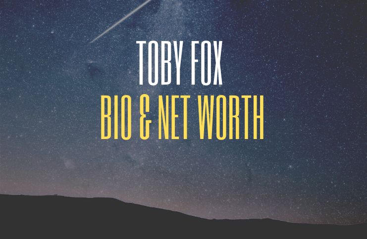 Toby Fox Net Worth Age Dog Undertale Deltarune