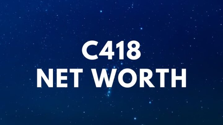 C418 – Net Worth, Minecraft, Stranger Things, Biography