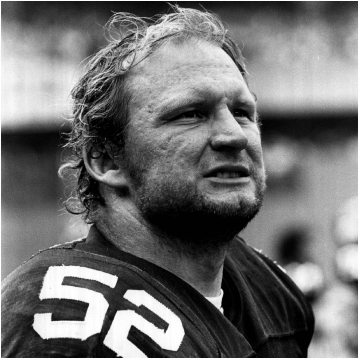 Mike Webster net worth