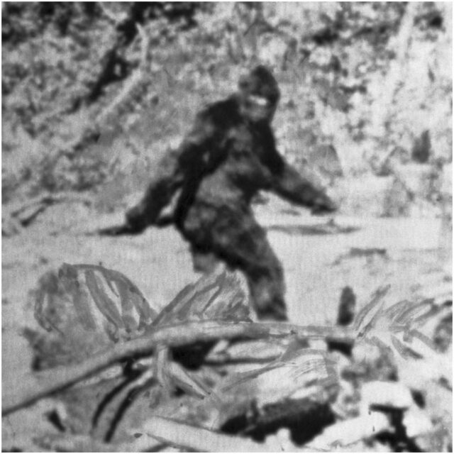 Matt Moneymaker Net Worth Salary Famous People Today