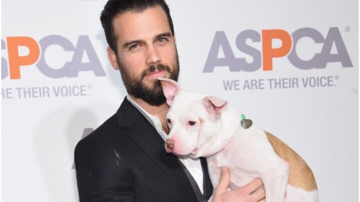 Thomas Beaudoin - Wife, Age, Movies, Net Worth, Biography