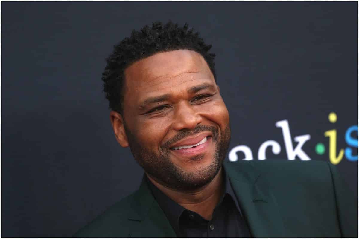 Anthony Anderson - Net Worth, Wife (Alvina), Height, Biography