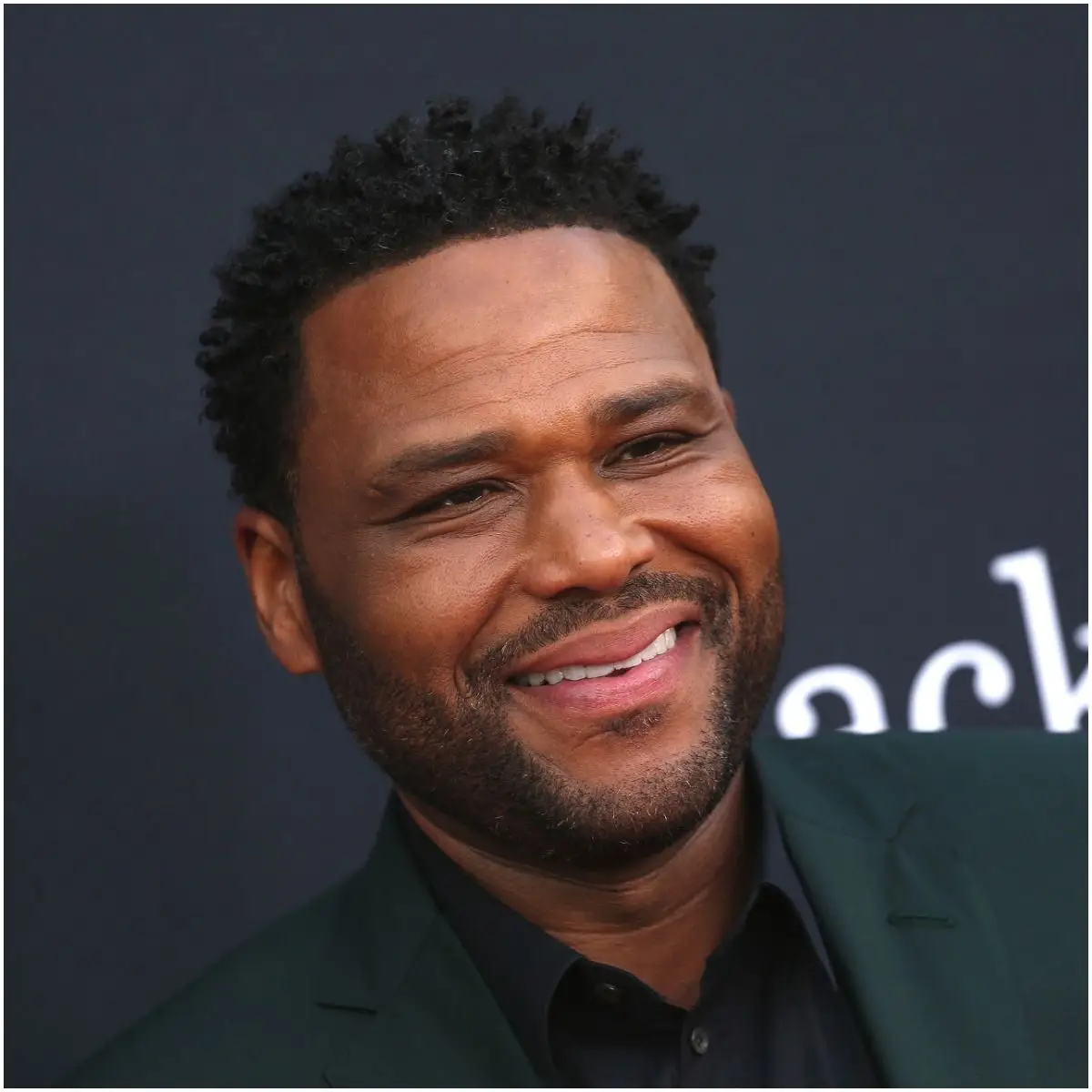 what is the net worth of Anthony Anderson