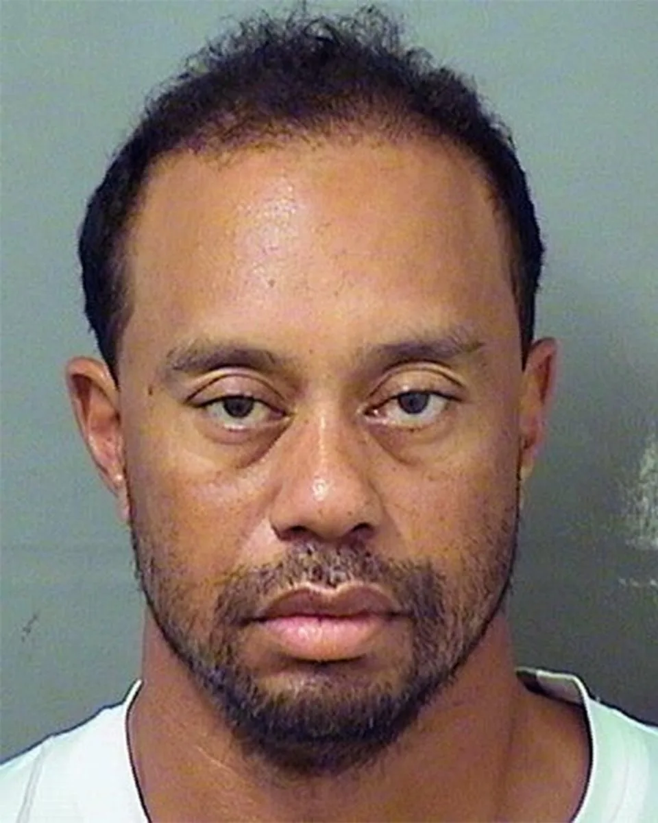 Tiger Woods mugshot