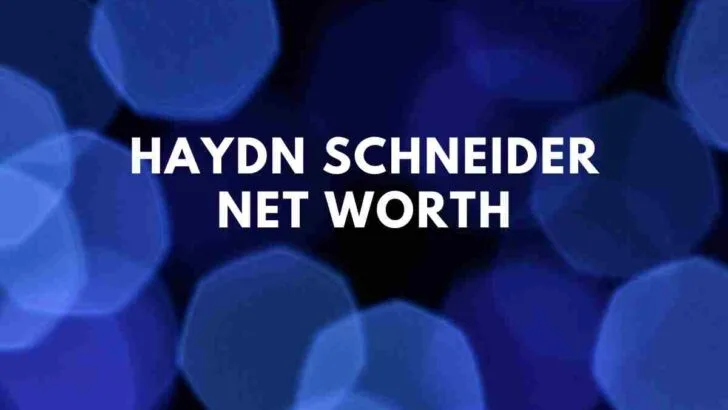 Haydn Schneider net worth