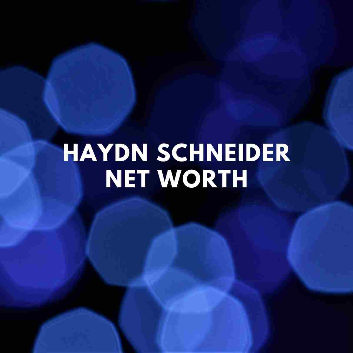 Haydn Schneider Net Worth 2024