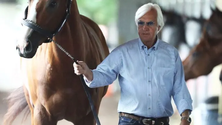 What does Bob Baffert charge for training a horse