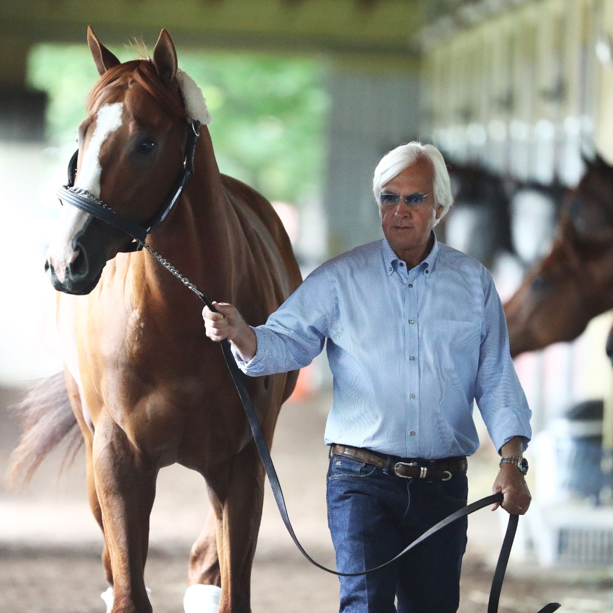 what does bob baffert charge to train a horse