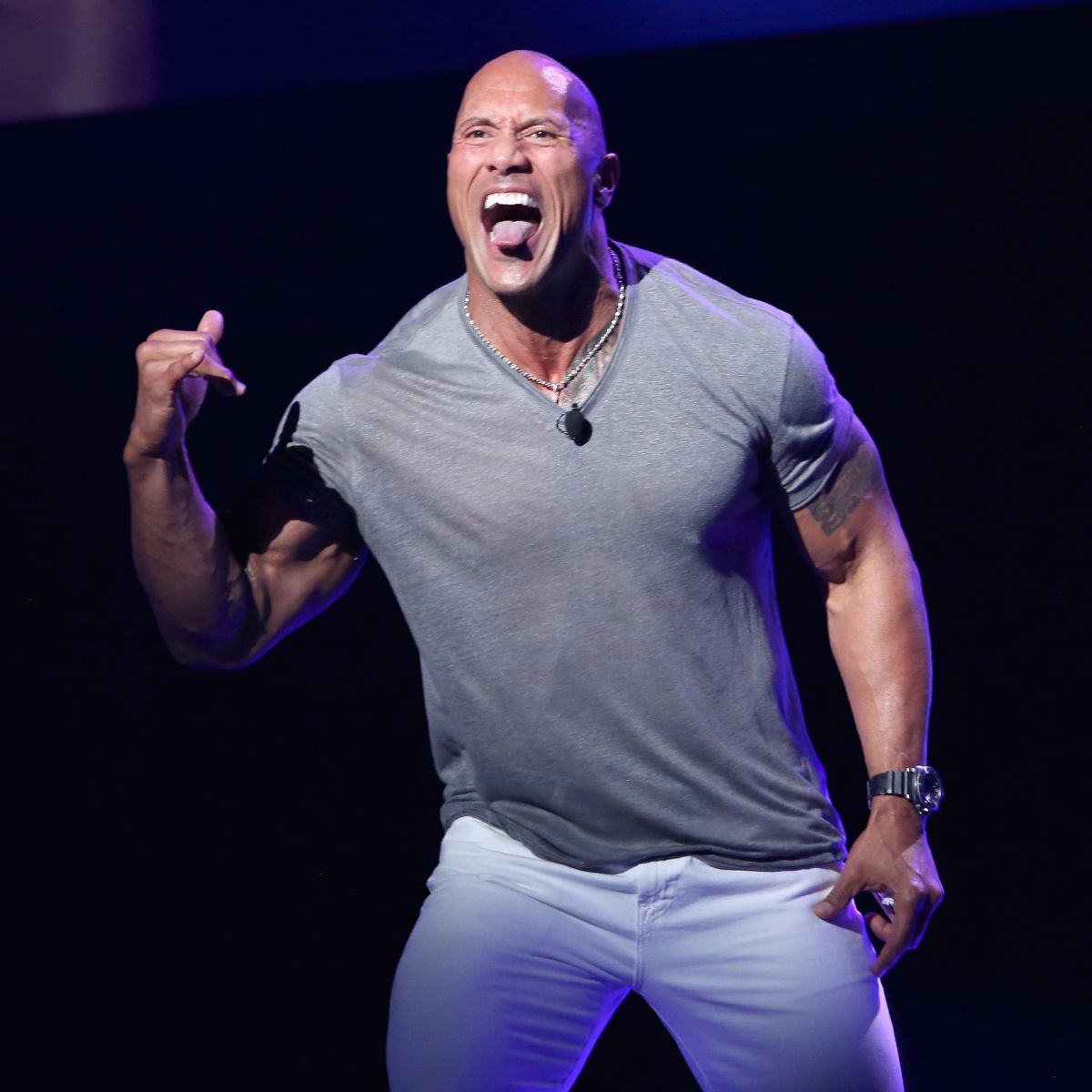 what is dwayne the rock johnson's net worth