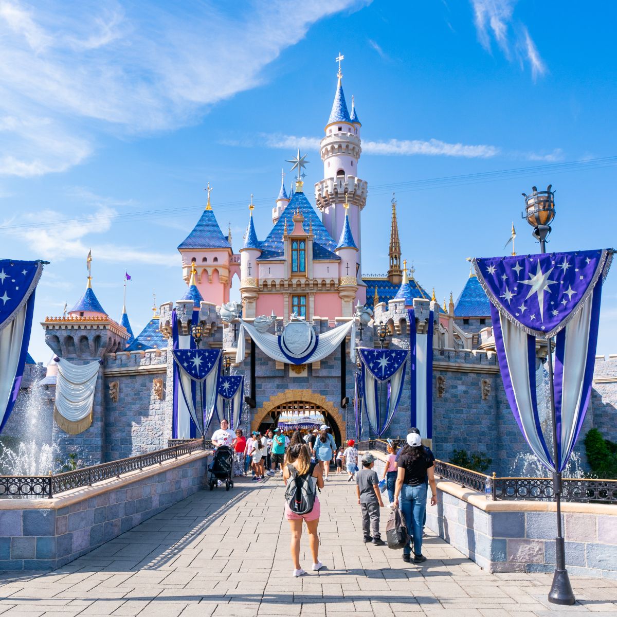 how much does disneyland make a year