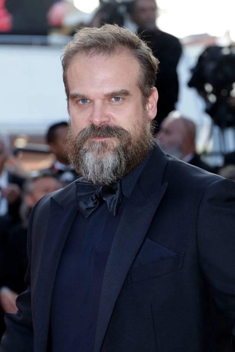 David Harbour Net Worth & biography