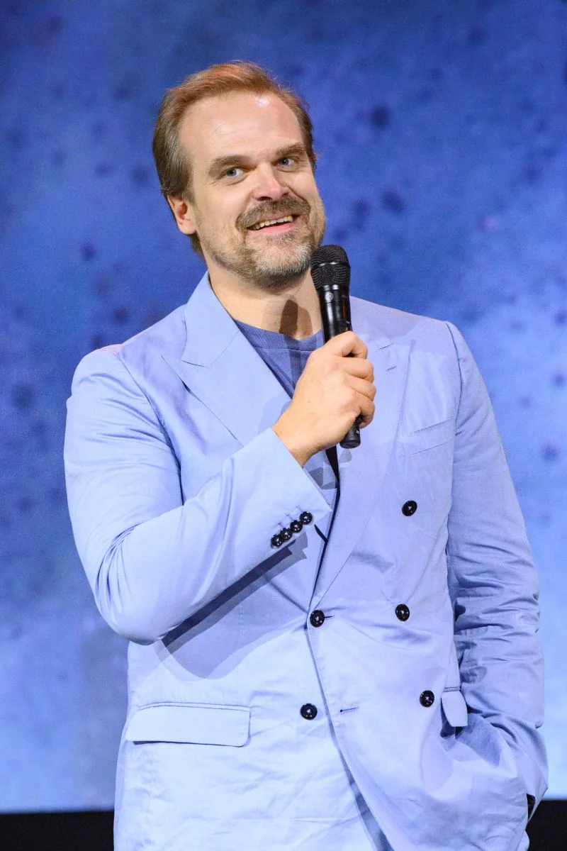 David Harbour Net Worth & rich