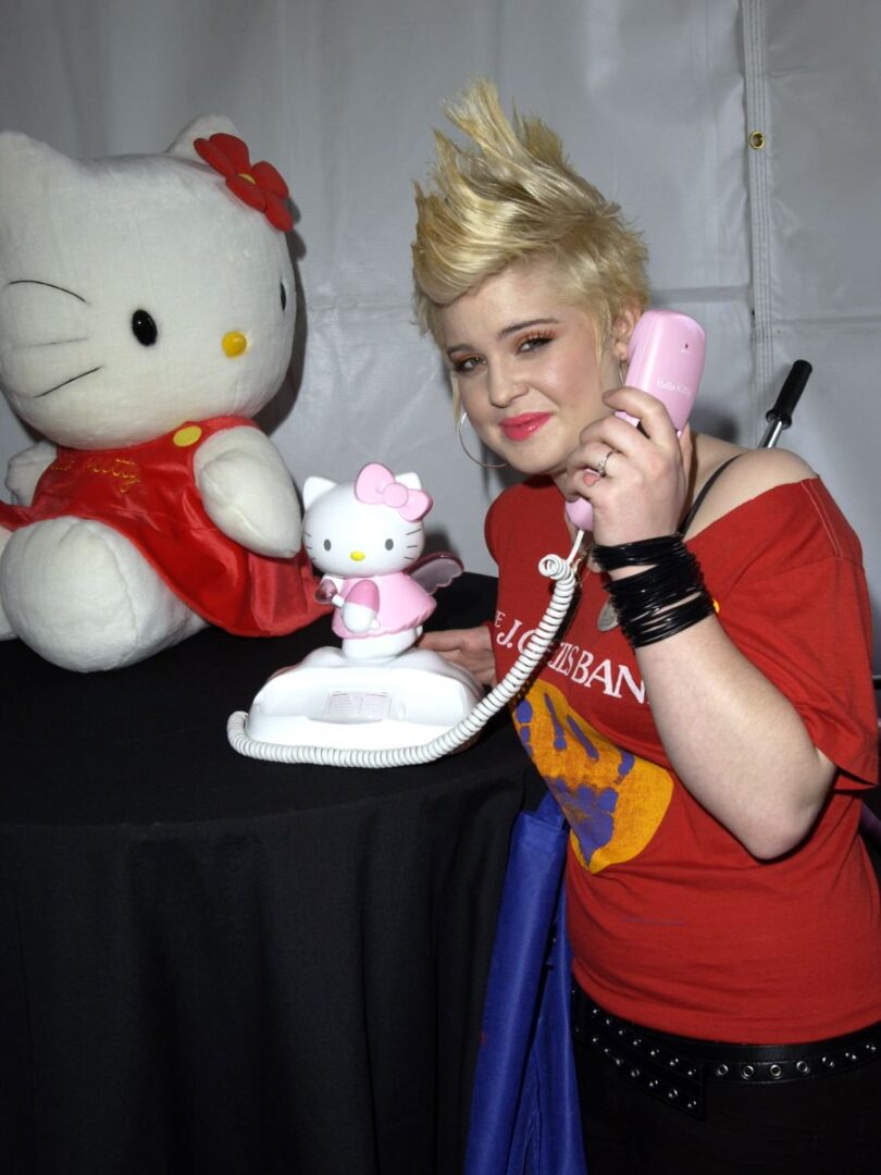 15 Celebs Who Love Hello Kitty! - Famous People Today