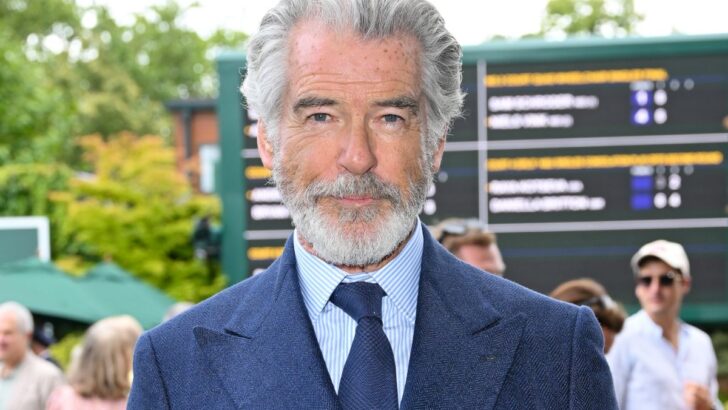 Pierce Brosnan Net Worth & Wife