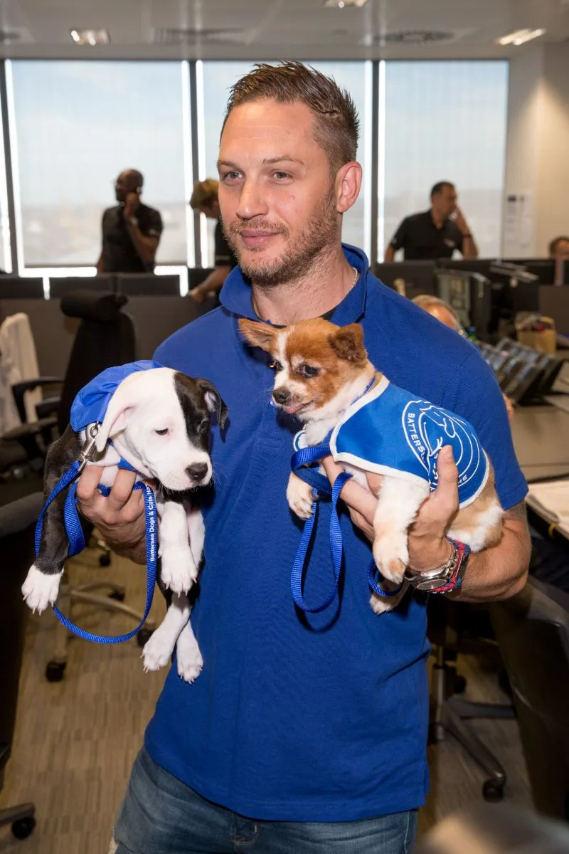 Tom Hardy Net Worth