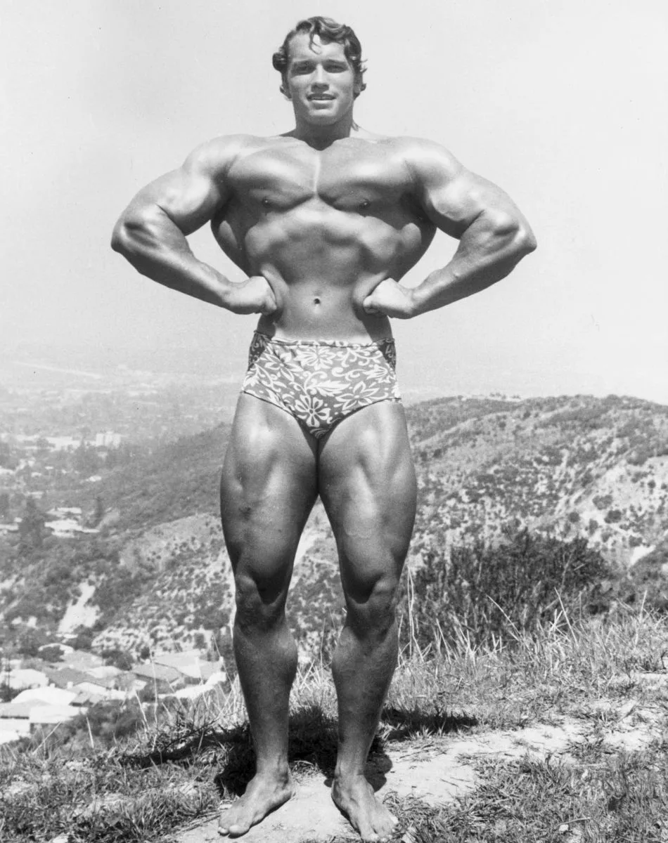 Is Arnold Schwarzenegger Vegan Or Vegetarian