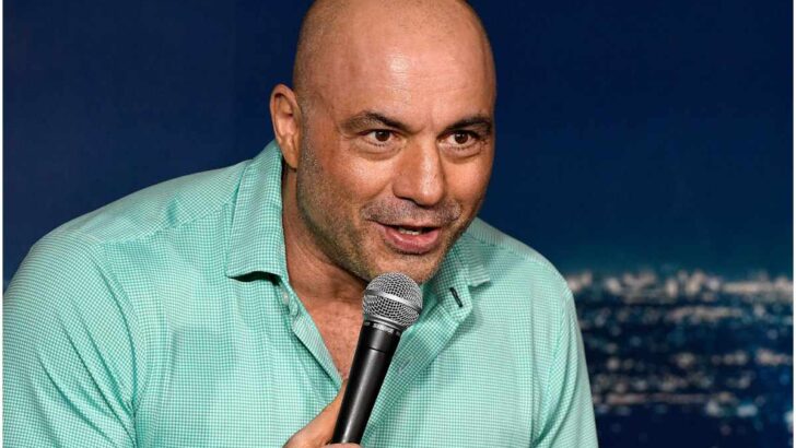 Are Seth and Joe Rogan related